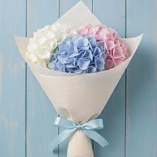 Букет цветов из:  Гортензия в Сынково