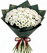 Букет цветов из:  Хризантемы в Сынково