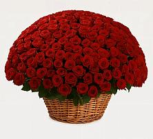 Премиум букет из: Розы в Сынково