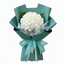 Букет цветов из:  Гортензия #REPLACE_PRED# Сынково